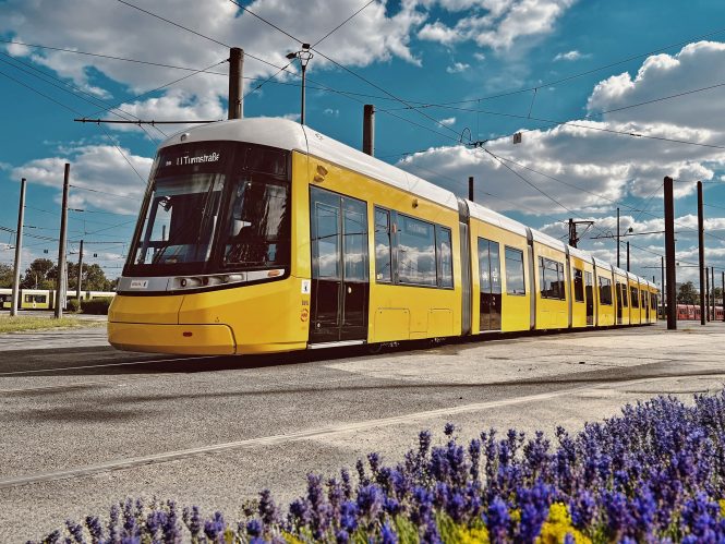 The Beauty and Functionality of Trams