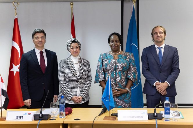 Egypt, Turkey, and France Ambassadors Accredited to COMESA