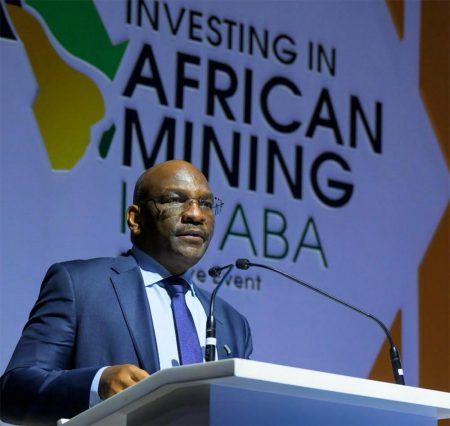 Afreximbank Challenges Africa’s Miners to Take Bold Steps to Own the Continent’s Resources